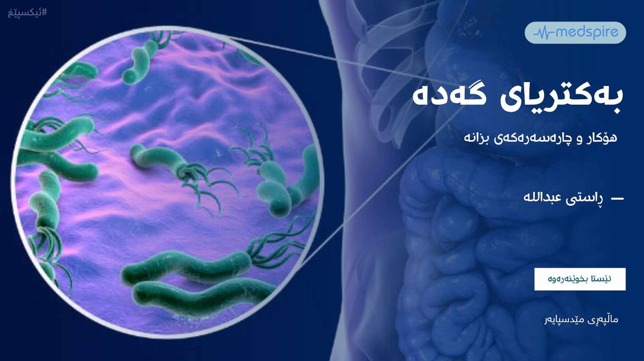بەکتریای گەدە